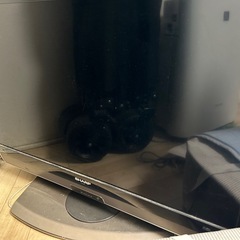 テレビ