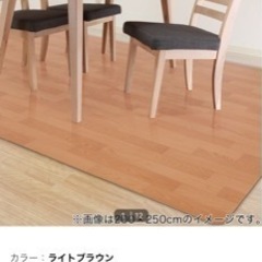【決まりました！】ニトリ　木目調フロアラグ