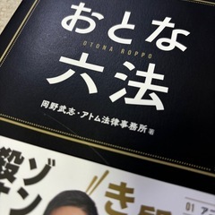 【最終価格】おとな六法の画像
