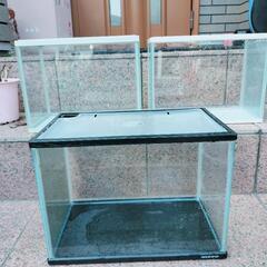 水槽セット①　価格は①と②　水槽4つの価格です。　メダカ　金魚　...