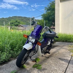 角目 シャリー 車体 実働