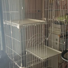 猫用ゲージ3段　取りに来て頂ける方限定です。の画像