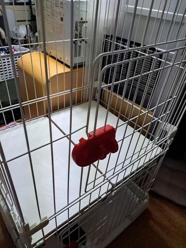 猫ゲージ