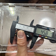 テイオウヒラタクワガタの画像