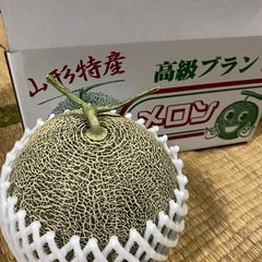 メロン 3個〜の画像