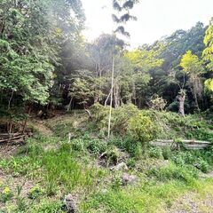 ■■憧れの古民家で田舎暮らしが叶う  約４００坪で亀山湖徒歩圏■■ - 君津市