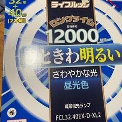 照明  新品
