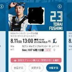 8月10日(土)野球　エスコンチケット