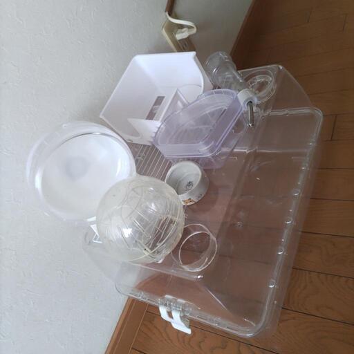 娘より。ハムスターハウスと色々セット消毒済です、