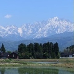 富山県に残したお家の現状、撮影して報告します。