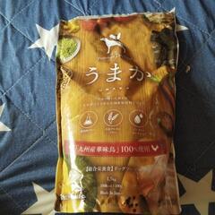 犬用品