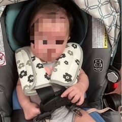 ベビーカー兼チャイルドシートの画像