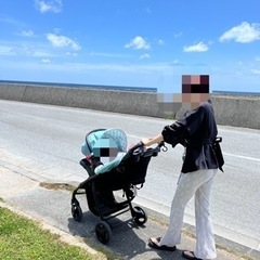 ベビーカー兼チャイルドシートの画像