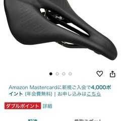 TNI (ティーエヌアイ) LiteFly ライトフライ カーボンレール ショートノーズ 穴あき 軽量 サドルですの画像