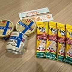 犬用　介護食