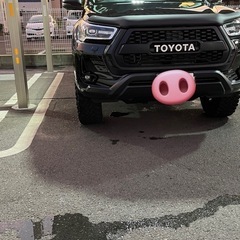 車　フロントグリル