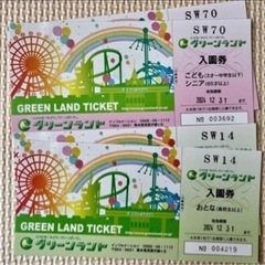 受け渡し者決定済‼️グリーンランド入場チケット