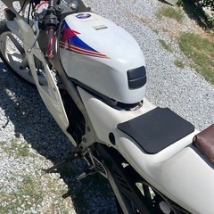 ns1