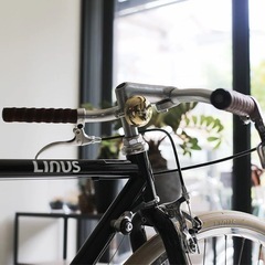 レア　美品　Guston 3 自転車　男性用の画像