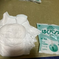 リフレ　大人用紙おむつ17枚　試供品の画像