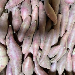 老人ホームや子供支援施設に特別な値段加工用は