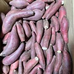 老人ホームや子供支援施設に特別な値段加工用はるか芋10kg 