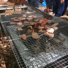 加太海水浴場でBBQしまーす!😆　　　　参加予定　男４女３　R6...