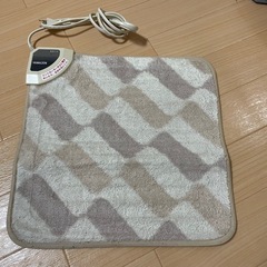 ＊ワンコイン！ミニ電子カーペット＊