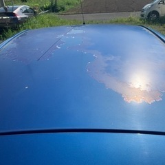 トヨタ | ヴィッツ | FＤパッケージ １０ミリオンセレクション  |  Toyota  |  Vitzの画像