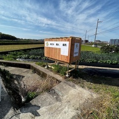 メダカ　無人販売の画像