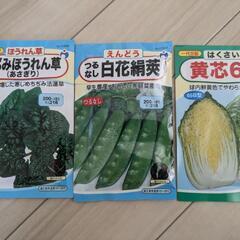 野菜の種　野菜　タネ　たね