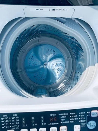 Hisense 全自動電気洗濯機 HW-T55C