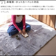 ラグマット　じゅうたん　ベージュ　190×240 床暖房オールシーズン対応　　の画像