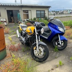HONDA　CB400SF  NC39 新車登録 値引き❌ の画像