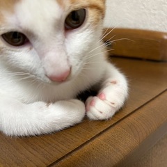 うみくん☺︎面会決まりました