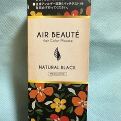 エールボーテ　ヘアカラームース　　ブラック