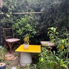 生活雑貨 家庭用品 ガーデニングの画像