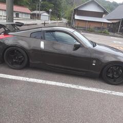 z33