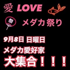 9月8日🐟愛LOVEめだか祭り💖開催します😍の画像