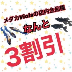 9月8日🐟愛LOVEめだか祭り💖開催します😍 - 地域/お祭り