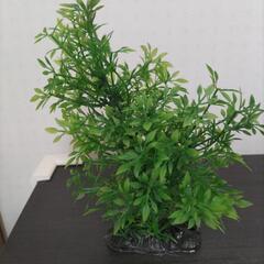 模造の水草