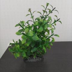 中古の模造水草