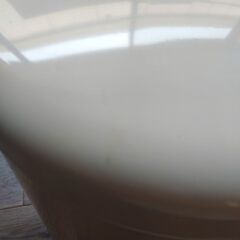 【譲ります・今週末までに取りに来てくださる方】brabanthia ゴミ箱ペダル式20リットルの画像