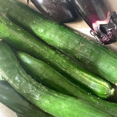 夏野菜