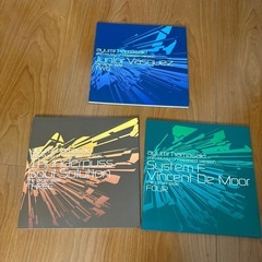 浜崎あゆみ　the other side 3枚セット　  