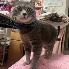 迷子