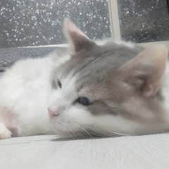 トライアル決まりました😊