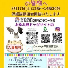 保護猫の譲渡会