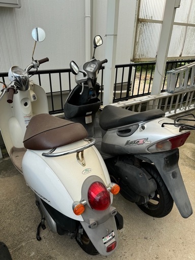 本日限定　スクーピー レッツ2 2台セット