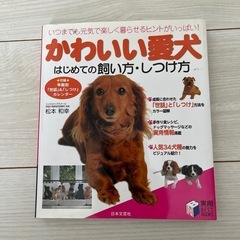 かわいい愛犬はじめての飼い方・しつけ方
